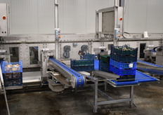 De weeg- en verpakkingsafdeling. Hier worden ook de voetjes gesneden. De finale verpakking en weging gebeurt in de vestiging te Boekel