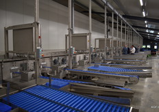 De 'straat' met transportbandjes. Voor iedere cel 2 stuks