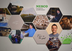 Kweekbedrijf van den Elsen door de jaren heen