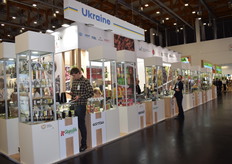 een blik van de andere zijde op de Oekraïense stand