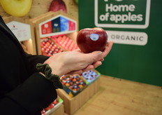 VOG brengt de populaire Amerikaanse Cosmic Crisp appel naar Europa