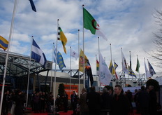 De vlaggen zijn gehesen.