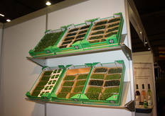 Een overzichtje van het aanbod.