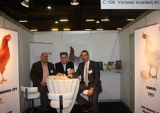 Rob Boomstra, Harold van Ginkel en Erwout van Wolfswinkel van Verbeek broederij en opfok.