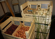 Naast aardappelen ook diverse bio-uien.