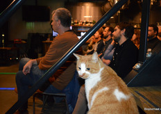 Deze extra toeschouwer voegde zich halverwege de avond bij het bio-gezelschap. 