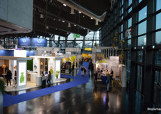 Mooie lichtval in de Vivaness-hal.