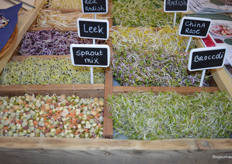 Pepijn: "We hebben nu ook prei en broccoli in biologisch."