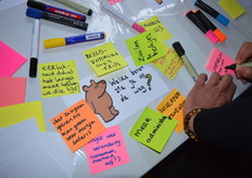 Welke beren zie je op de weg?