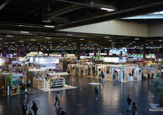 En fijne lichtinval aan de voorkant van de hal.