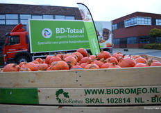 Een mooi plaatje met de bio-pompoenen van BioRomeo.