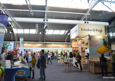 Mooie lichtval in deze hal.