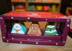 Leuk voor in de kerstboom.