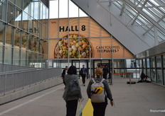 Op naar hal 8, waar veel bedrijven stonden die gespecialiseerd zijn in noten en zuidvruchten. 