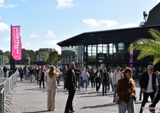De mensen stonden in een mega rij om binnen te komen op Gastvrij