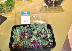 Speciaal voor de Horeca een cress mix direct voor op het bord