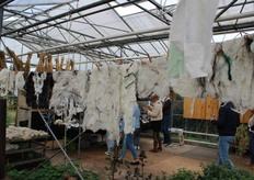 Verschillende werken gemaakt van vervilt wol