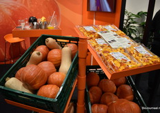 Pompoenen in verschillenden soorten, maten en verwerkt bij de Terp Squashpackers