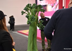 De wandelende Bimi kwamen we overal tegen