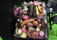 Bij Prince de Bretagne een mooi kleurrijk assortiment (snij)biet, wortelen en zoete aardappelen