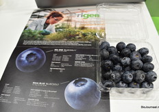 Camposol lanceerde op de eerste beursdag een nieuwe biologische blauwe bes: Sol One 'Bluescol11'