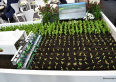 Een proefveldje bij Behr AG