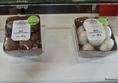 Biochampignons bij Polok group