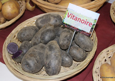 De paarse aardappels van Plantera behouden hun paarse kleur ook na bereiding.