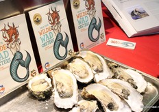 De verse oesters uit de Waddenzee.