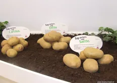 De biologische aardappelen.