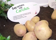 De Carolus aardappel: een gele aardappel met mooie rode ogen.