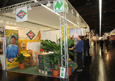 Biologische én fairtrade bananen van BanaFair.