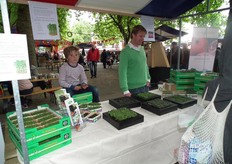 Abe helpt zijn vader Thijs Hoogveld bij de presentatie van de tuinkersen van Biostar.