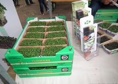 Biologisch geteeld, in een herkenbare groene doos.