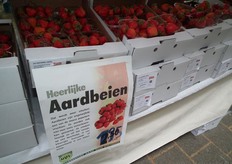 "Dit zijn heerlijke snoepaardbeien", aldus Bert."