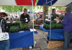 Paulien Kijlstra en haar dochter Irma met de verse kruiden en specerijen van Het Blauwe Huis.