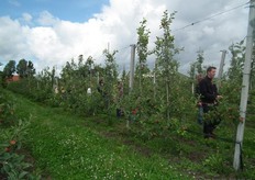 Het weer klaarde in de loop van de middag even op.