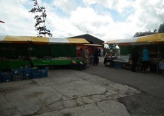 Een overzicht van de markt.