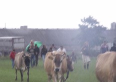 "Het weer zat niet helemaal mee dit weekend. Irene van de Voort van Remeker stuurde deze foto in. "Met de allergrootste complimenten voor deze consumenten!"