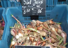 Sint Jans ui voor €3,50 per kilo.