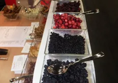 De cranberries, blueberries en kersen van Berrico FoodCompany bv.