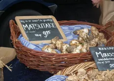 "De Matsutake is erg populair onder Aziaten. Als we deze paddenstoel weer hebben, gonst dit door de gemeenschap."