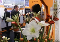De stand van Ecobulbs werd opgesierd met de bloemen die uit de Ecobulb bloembollen groeien.