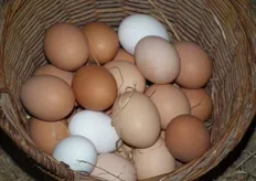Een deel van de eierproductie.