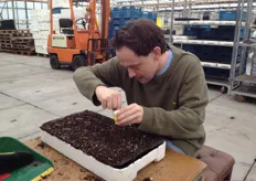 Menno werkt geconcentreerd aan het vullen van de zaad trays met slazaad