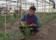Sergei Daudow toont een tomatenplant die in bloei staat.