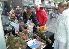 Freek Doelman geeft uitleg over de Kweekbaal.