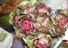 En mooi kleurrijk plaatje.