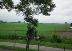 Een deel van het areaal van Hoeve Doelwyck.