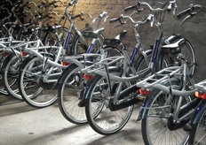 Ook fietsen van Natuurmonumenten beschikbaar om over het eiland te toeren.